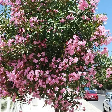 Costa Calma דירה קוסטה קלמה